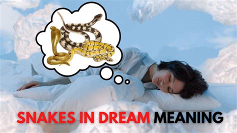 snake meaning in lottery|Dreams About Snakes: What It Means According to .
